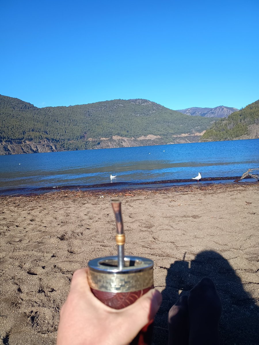 "viaje a la Patagonia como un boludo"  <a href="/rock_pix/">El Gallo 🇦🇷⭐️⭐️⭐️</a> un boludazo subscriptor reportandose desde el lugar de los hechos... escuché esto dicho por el Ceo a ao vivo por <a href="/UnDinamo/">UnDinamo</a>