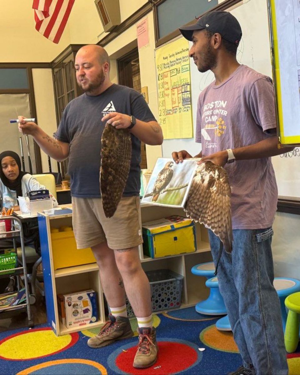 Curiosity was in full flight as students explored the fascinating world of owls by dissecting owl pellets with the Boston Nature Center. A hands-on lesson in biology that sparked wonder and discovery!

#highergroundboston #bostonnaturecenter #summercampfun #handsonlearning
