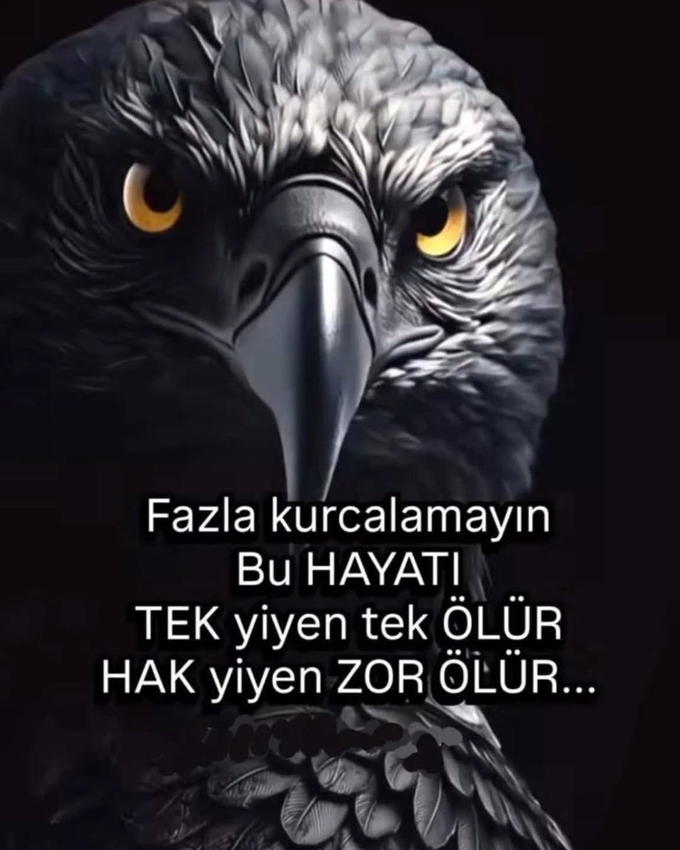 Nurten 🦋 (@_f_l_o_w_e_r_34) on Twitter photo Staj-Çıraklık sigorta başlangıcı olmalıdır‼️
Nerede Bu Adalet
#StajyerÇırağınDiplomasıGerçekSigortasıSahte Staj-Çıraklık sigorta başlangıcı olmalıdır‼️
Nerede Bu Adalet
#StajyerÇırağınDiplomasıGerçekSigortasıSahte