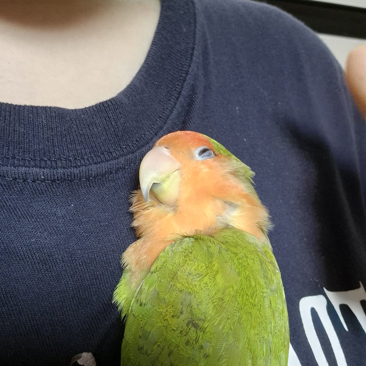 고객님 ,, 정신을 차리셔요 ,,