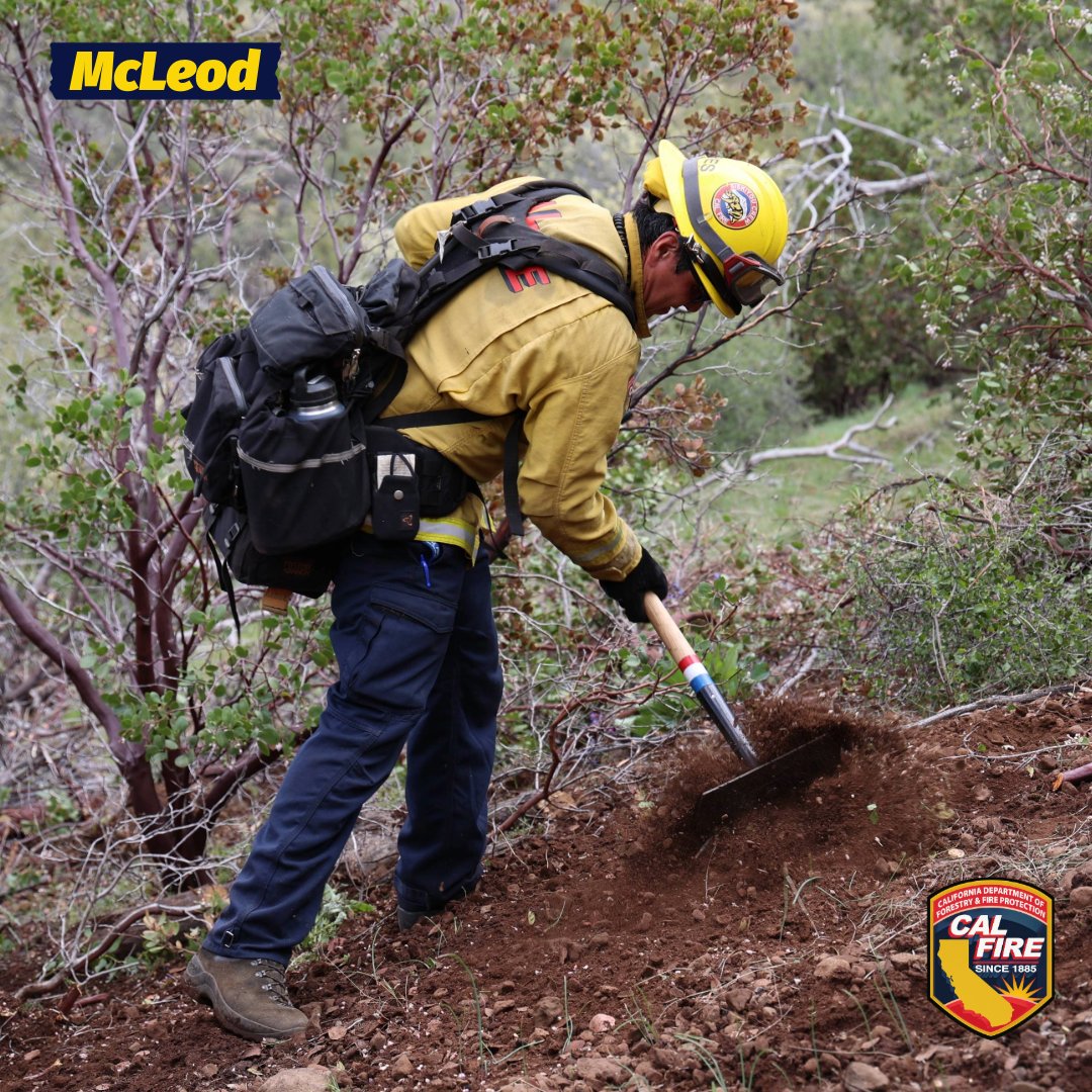 CAL_FIRE's tweet image. Firefighter hand crews use a variety of tools to stop wildfires by removing brush, grass, and other flammable material in the fire’s path.

Hand crews move methodically in a line and use hand tools to scrape down to bare soil, creating what’s called a “handline.” This line…