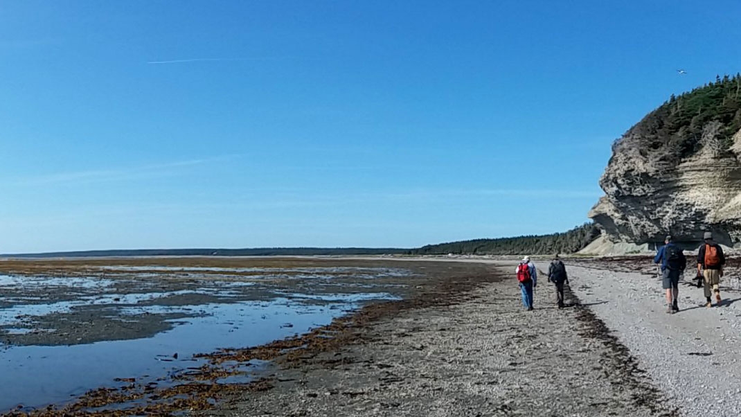 🌍 1 year ago, Sam Noble Museum paleontologists got a $621K NSF grant to study Earth’s first mass extinction. Their work on Anticosti Island is giving us new clues into past climate change—and today’s biodiversity crisis.
 #massextinction #earth #climatechange #biodiversitycrisis