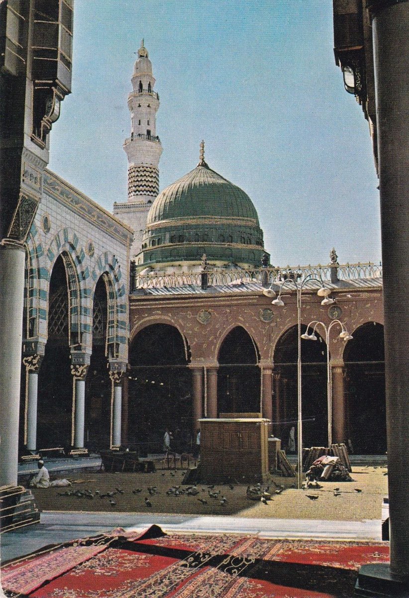( صلُّوا عليْهِ وسَلِّمُوا تَسلِيمًا )