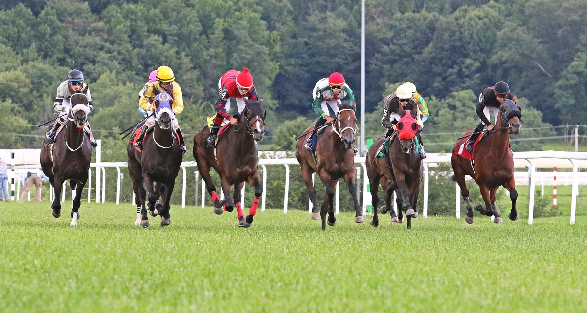 Pa HBPA (@pa_hbpa) on Twitter photo 5:45 pm is 1st post for today's <a href="/HollywoodPenn/">Hollywood Casino at Penn National Race Course</a> racing action - the 4th is a $39,000 <a href="/PA_PHBA/">PA Bred</a> allowance race for fillies & mares, 3 years old & up, going about 5 furlongs on the turf.
An even $9,000 is the carryover into race 3's 20-cent Super High Five Jackpot.
📸: Equi-Photo 5:45 pm is 1st post for today's <a href="/HollywoodPenn/">Hollywood Casino at Penn National Race Course</a> racing action - the 4th is a $39,000 <a href="/PA_PHBA/">PA Bred</a> allowance race for fillies & mares, 3 years old & up, going about 5 furlongs on the turf.
An even $9,000 is the carryover into race 3's 20-cent Super High Five Jackpot.
📸: Equi-Photo