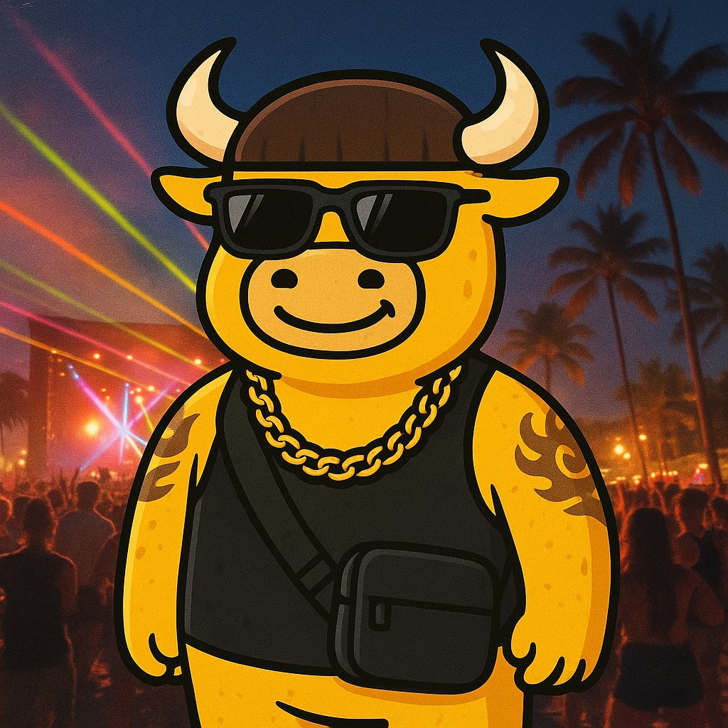 BullMarketSol's tweet image. ibiza final boss before the golden bull run 🏃💦🐂