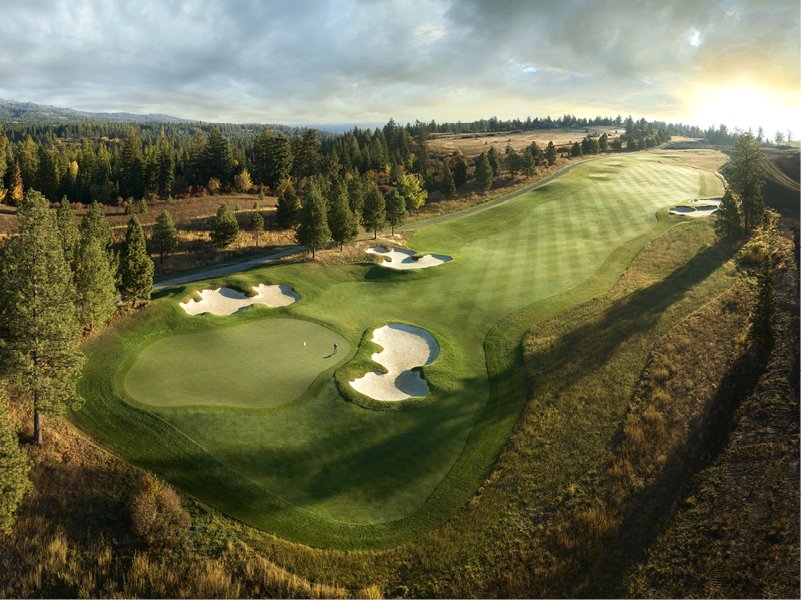 Judd Spicer (@juddspicer) on Twitter photo Superintendent <a href="/ZBTurf411/">Zach Bauer, CGCS</a> shares his pairing of Elk & Autonomy at CDA National Reserve in Coeur d'Alene. New for <a href="/GCImagazine/">GOLF COURSE INDUSTRY</a>:
#golf
golfcourseindustry.com/article/elk-au… Superintendent <a href="/ZBTurf411/">Zach Bauer, CGCS</a> shares his pairing of Elk & Autonomy at CDA National Reserve in Coeur d'Alene. New for <a href="/GCImagazine/">GOLF COURSE INDUSTRY</a>:
#golf
golfcourseindustry.com/article/elk-au…