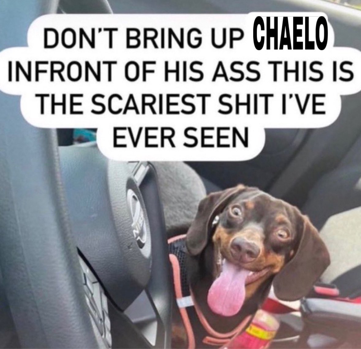 mochaengtw's tweet image. 