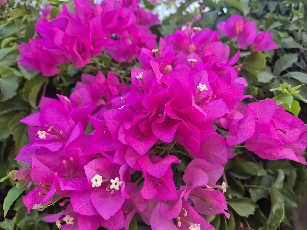 'Biliyorsun... çünkü, yumuşak sertten güçlüdür, su kayadan güçlü, sevgi zorbalıktan güçlüdür.' 
Hermann Hesse