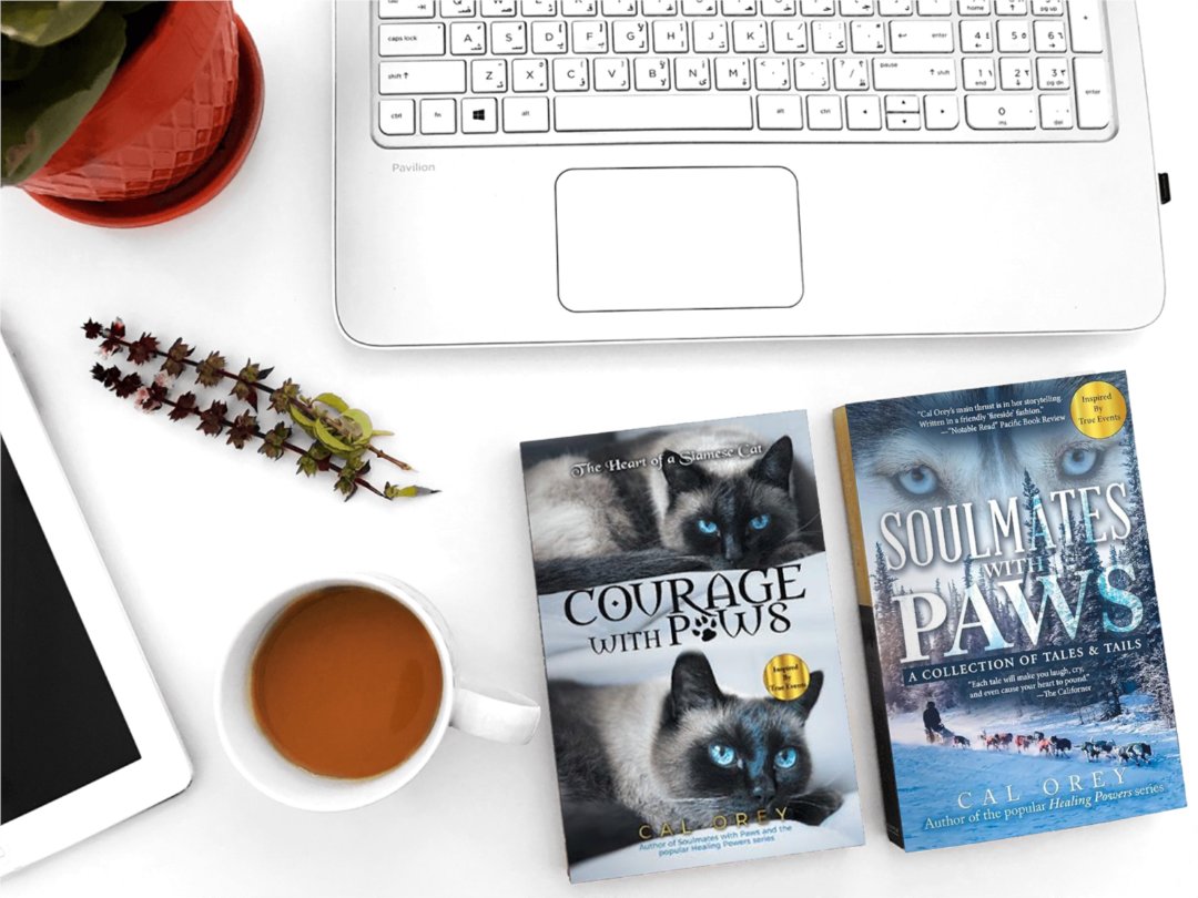 Heart disease? Holistic procedures+ can work. Inspirational tale from a feline's POV! Courage with Paws has been a best seller on Amazon in cardiology countless times! By Cal Orey...brilliant verse and artwork.