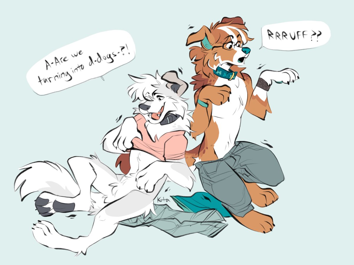 Those dog collars looked like they'd fit you, so you just had to try them on