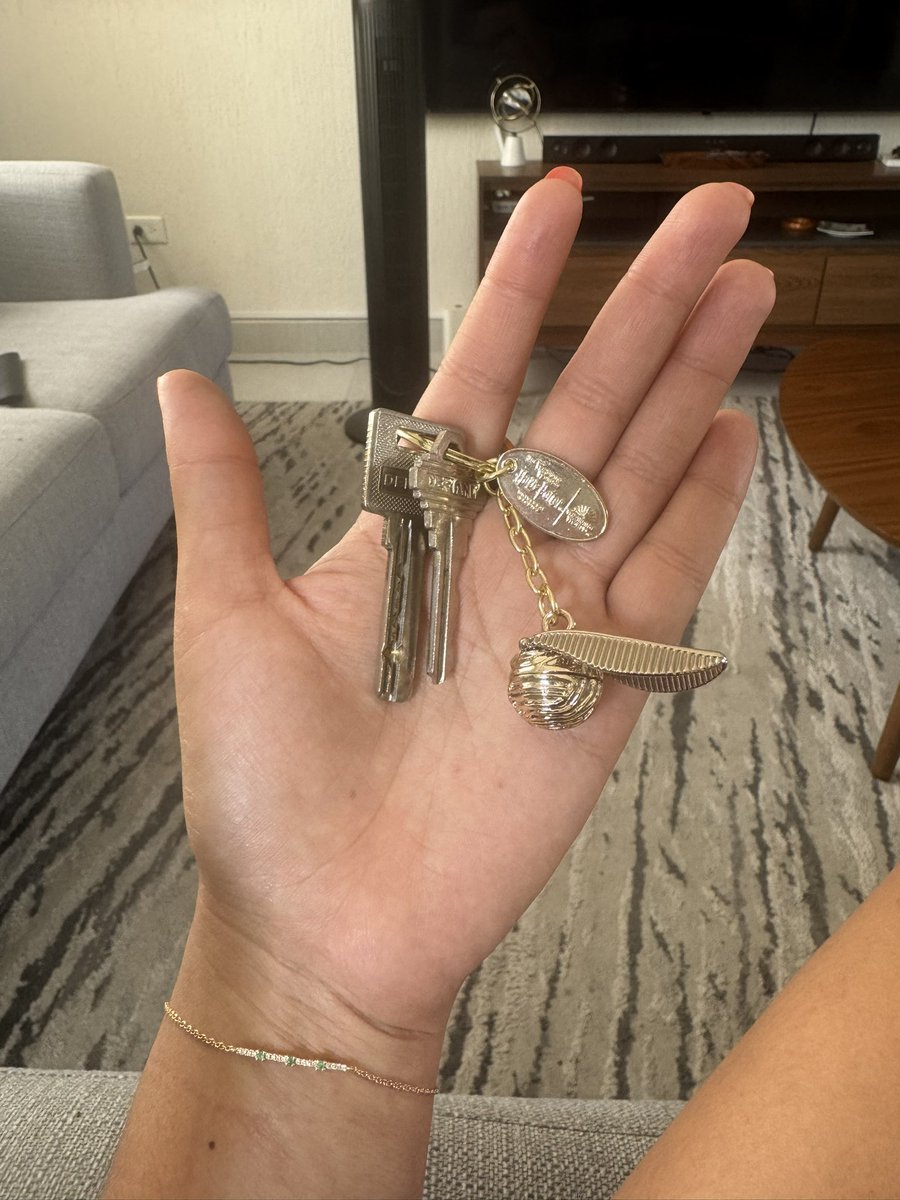 cecitorres_'s tweet photo. ok pero mi snitch dorada es lo máximo 🤩 https://t.co/IlMxNjh5W1