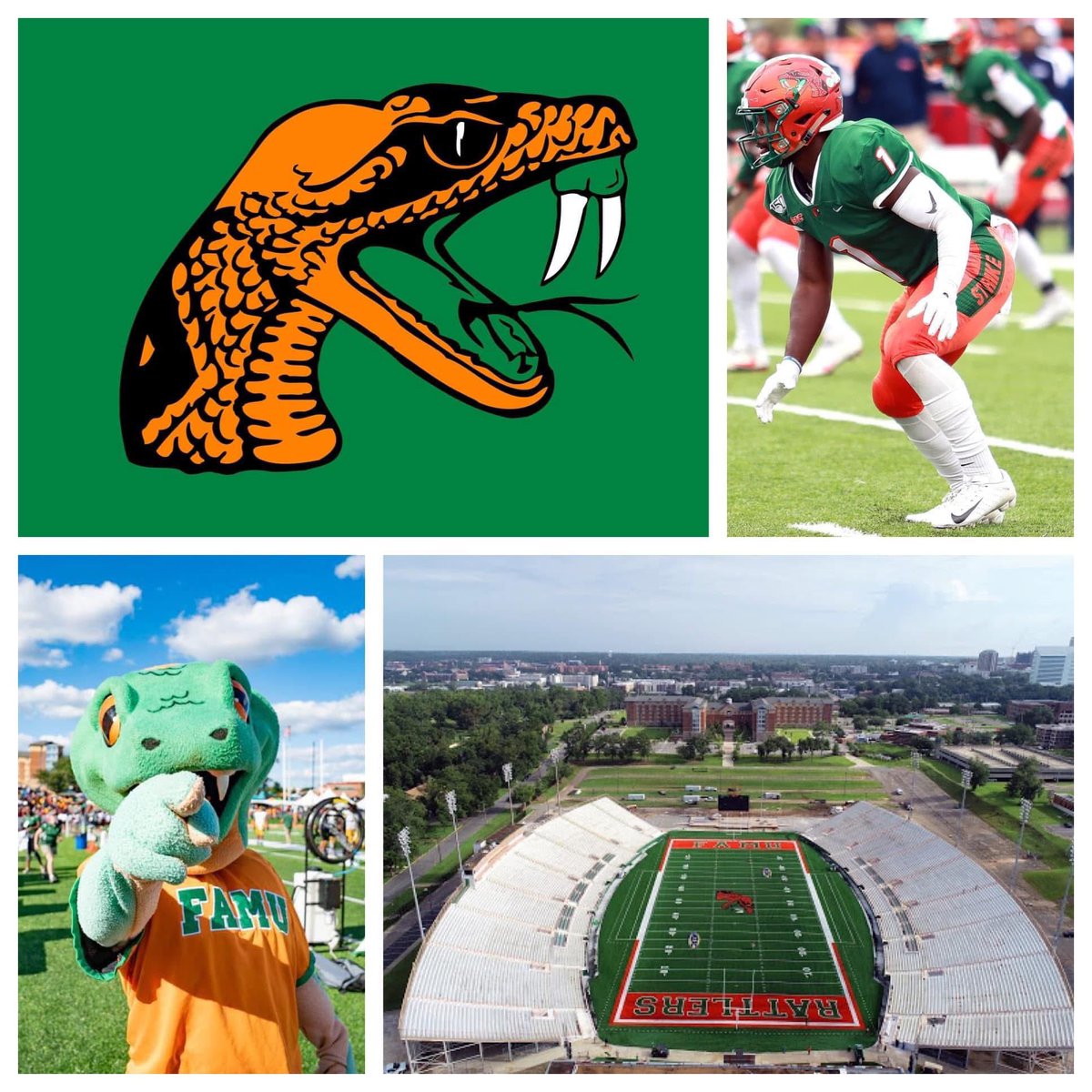 FCS Fans Nation (@fcsfansnation) on Twitter photo Our 114th team of our 129 FCS Teams in 129 Days, leading us up to the 2025 FCS Kickoff is <a href="/FAMU_FB/">Florida A&M Football 🏈</a> 🟢🐍🟠
(All info for the HBCU and Ivy League schools is historic from these programs existence to now)
Team - Florida A&M Rattlers
Head Coach - James Colzie III
2024 Record - 7-5 Our 114th team of our 129 FCS Teams in 129 Days, leading us up to the 2025 FCS Kickoff is <a href="/FAMU_FB/">Florida A&M Football 🏈</a> 🟢🐍🟠
(All info for the HBCU and Ivy League schools is historic from these programs existence to now)
Team - Florida A&M Rattlers
Head Coach - James Colzie III
2024 Record - 7-5