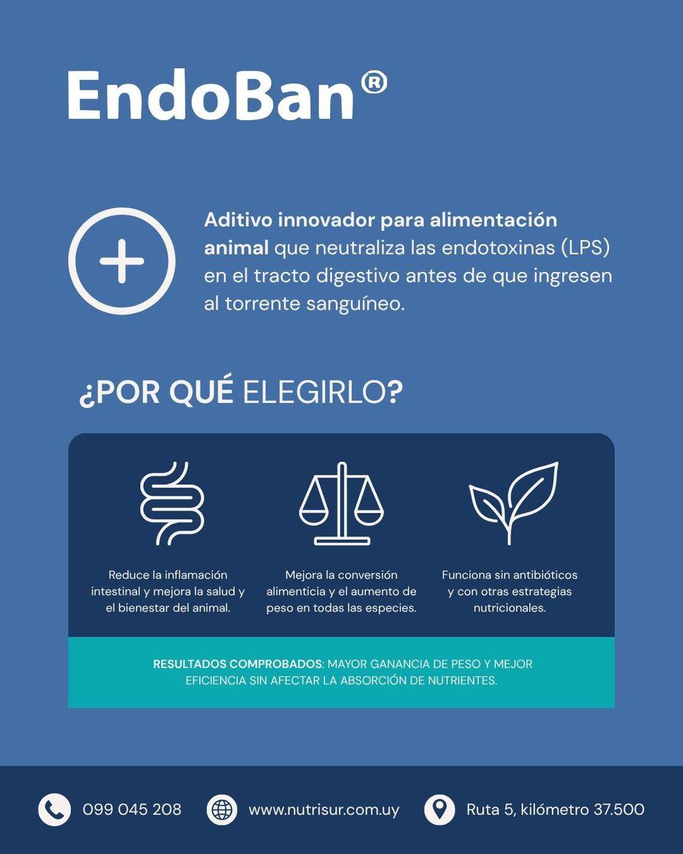 🔬 Endoban: salud intestinal, rendimiento y bienestar animal en un solo aditivo

✅ Disminuye la inflamación intestinal
✅ Mejora la conversión alimenticia en parrilleros
✅ Aumenta los índices de postura en gallinas ponedoras
✅ Favorece el bienestar general del animal