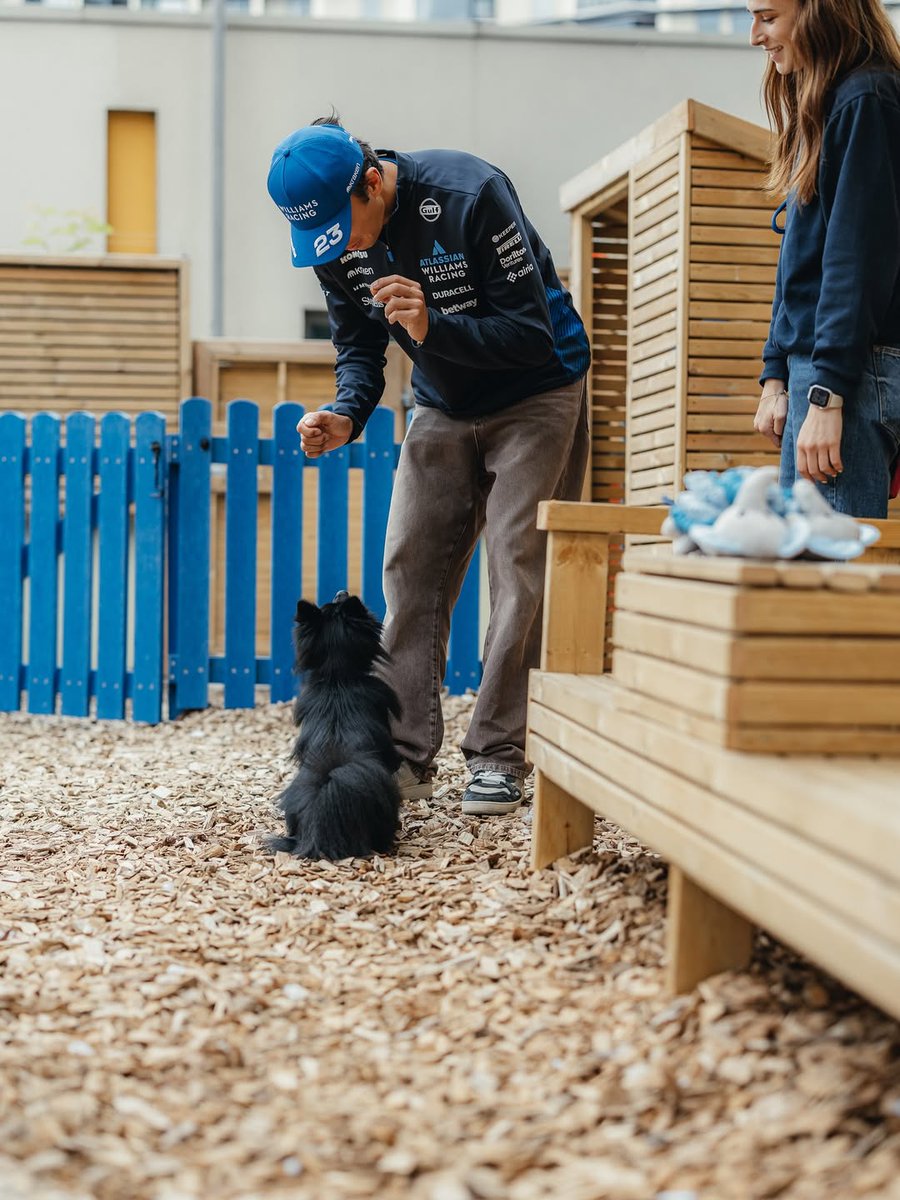 siantheaaa's tweet image. NEW ALEX W/ ANIMALS PICS HAVE HIT THE ALBONATION TOWERS 🚨