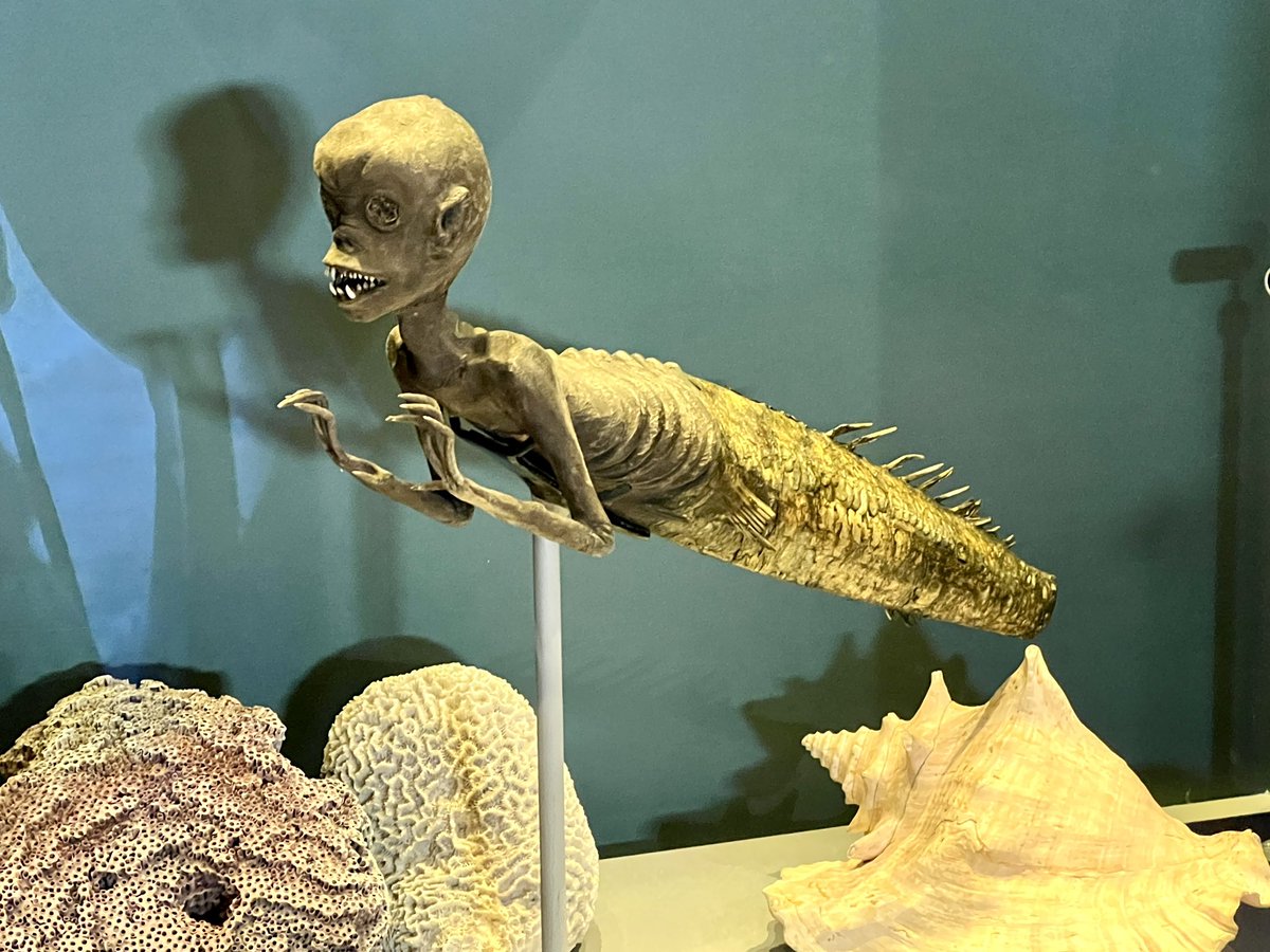 桃永ぱいん🍑🍍 (@mona_pine) / Posts / X