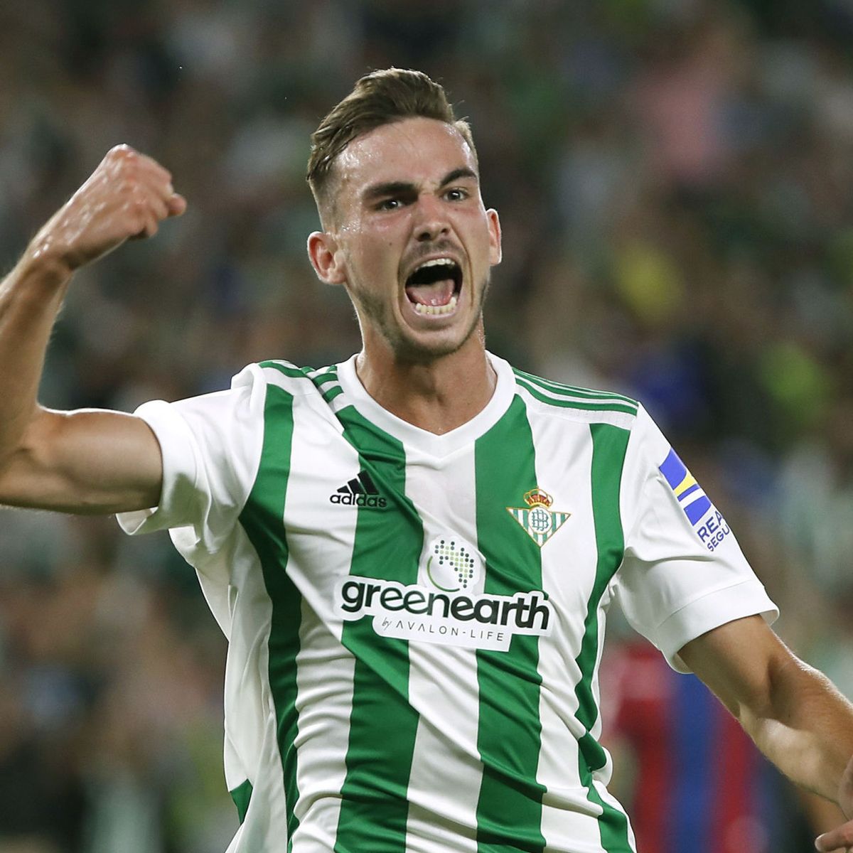 Real Betis Balompié 🌴💚 (@realbetis) on Twitter photo ¡Nuestro querido <a href="/FabianRP52/">Fabián Ruiz</a> ha sido nominado al <a href="/ballondor/">Ballon d'Or</a>! 🏆⚽️
¡Nosotros ya tenemos nuestro candidato favorito para ganarlo! 🥇😃 ¡Nuestro querido <a href="/FabianRP52/">Fabián Ruiz</a> ha sido nominado al <a href="/ballondor/">Ballon d'Or</a>! 🏆⚽️
¡Nosotros ya tenemos nuestro candidato favorito para ganarlo! 🥇😃