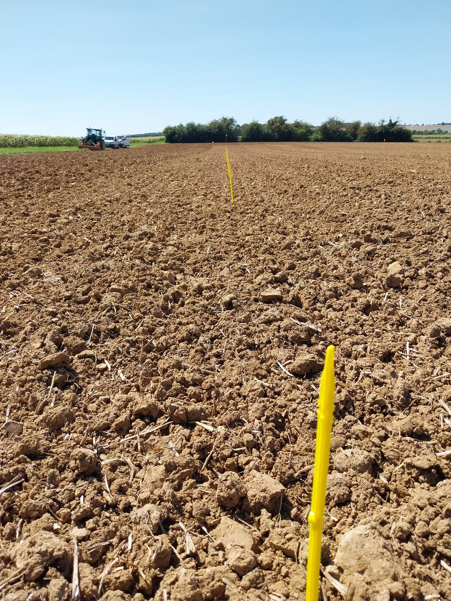 Août est intense en activités sur les stations d'expé <a href="/terresinovia/">Terres Inovia</a> En plus des essais en cours, c'est gestion et expédition des semences #colza2026 pour le réseau national d'évaluation des variétés, préparation des plates-formes, piquetage des essais. #ceuxquifontlesessais