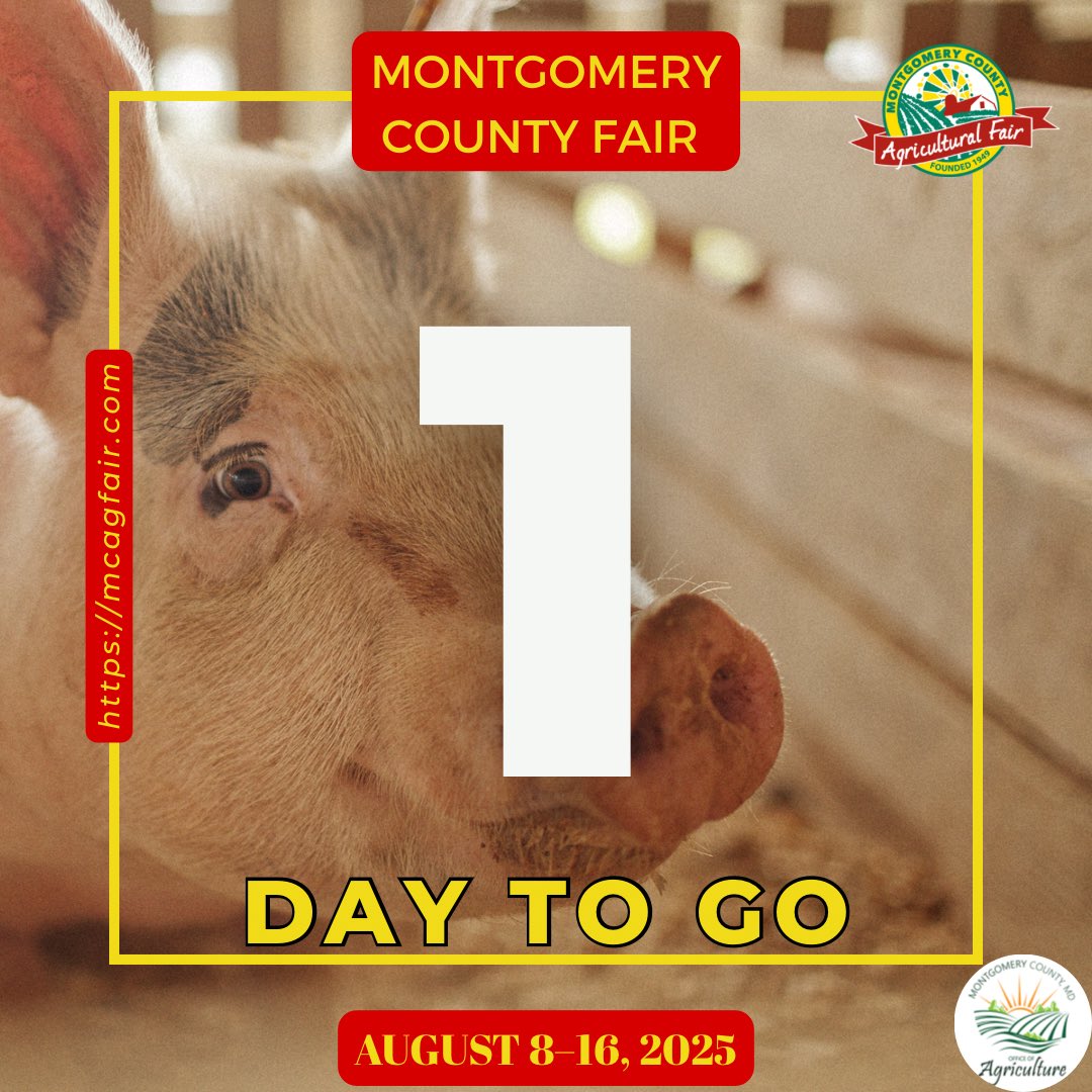 Only 1 day left until the Montgomery County Agricultural Fair begins! 🐷🎡 Come meet the animals,explore agriculture exhibits and stop by the Office of Agriculture booth to learn more about local farming
📅 August 8–16, 2025
mcagfair.com
#MoCoAg #CountyFairCountdown
