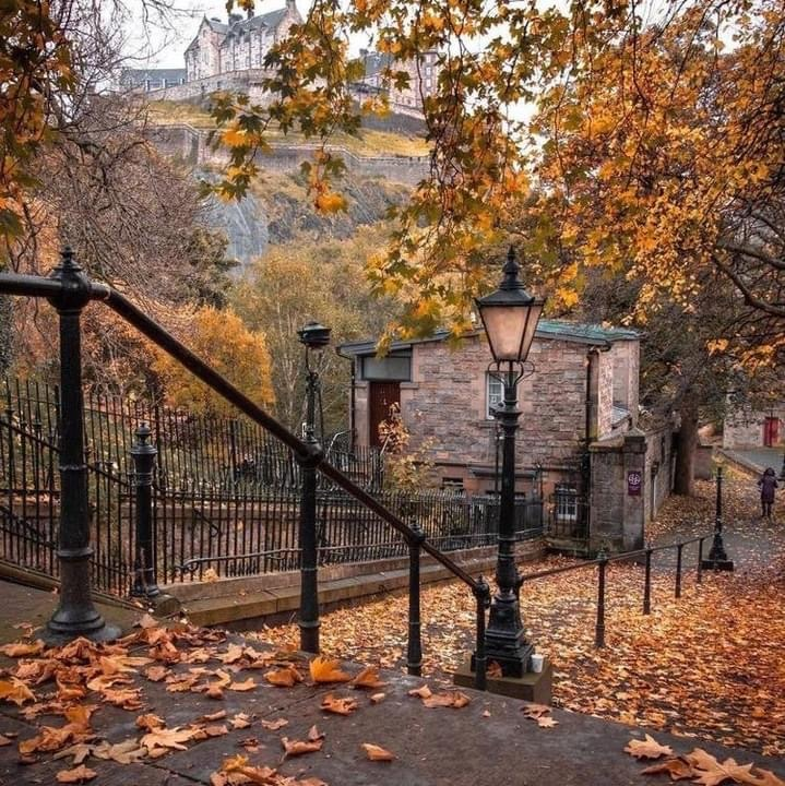 artindetails's tweet photo. quiet solitude. https://t.co/Ww8jWjSKh2