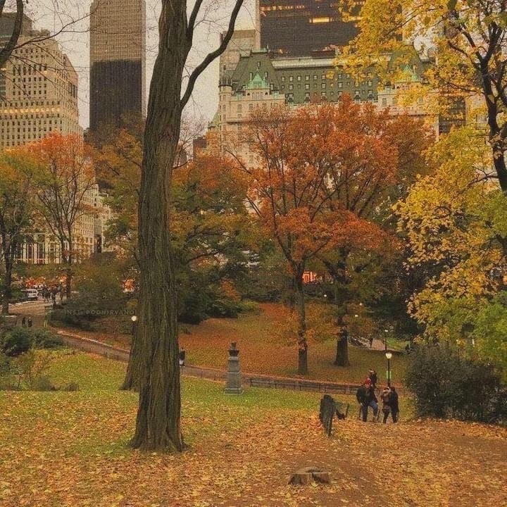 artindetails's tweet photo. quiet solitude. https://t.co/Ww8jWjSKh2