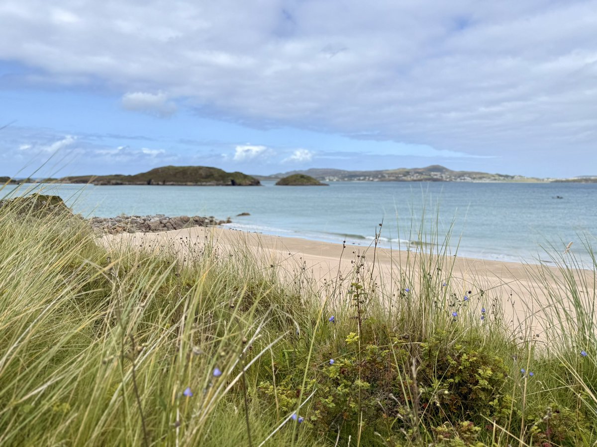 Dónal O'Connor tweet media