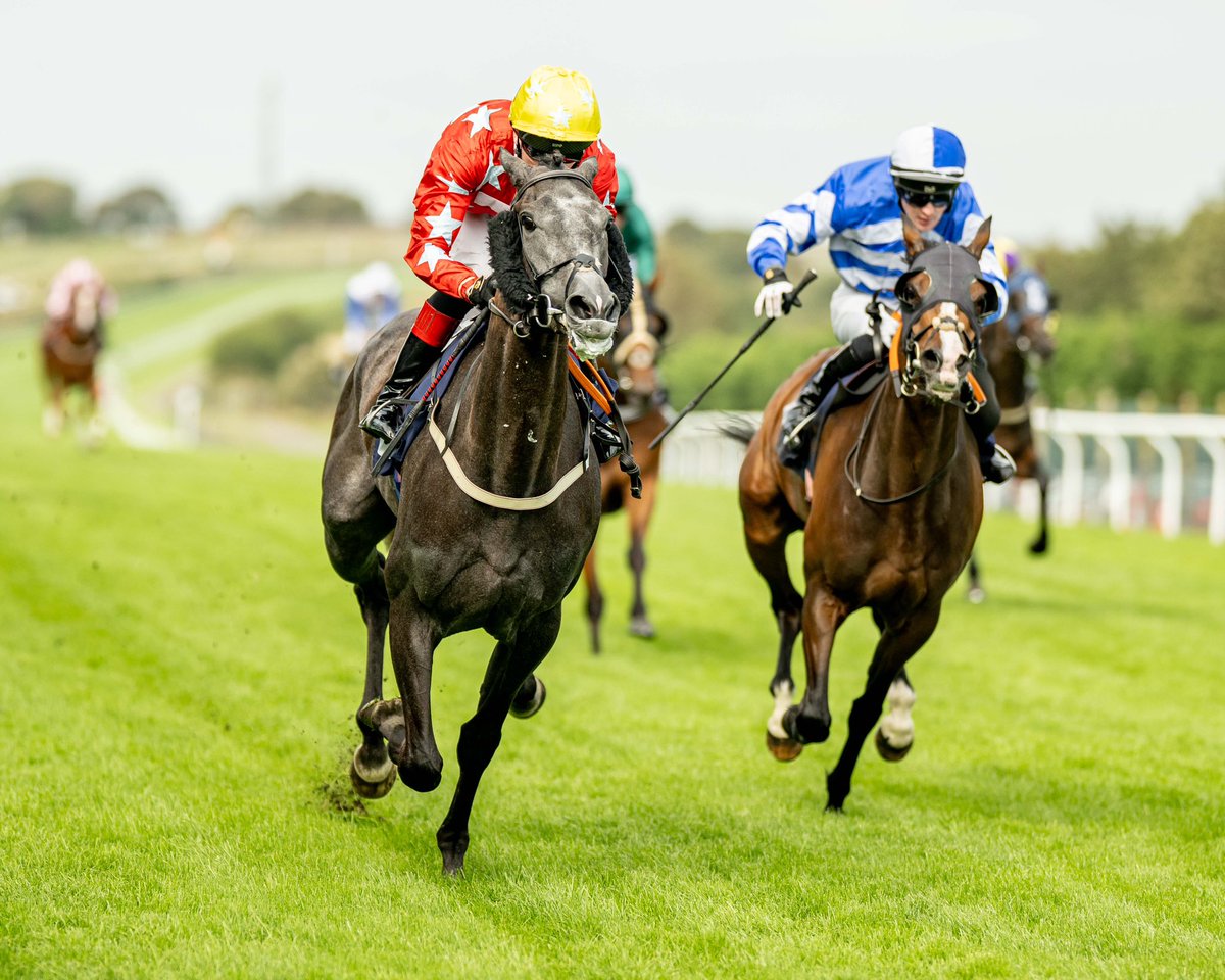 Brighton Racecourse (@brightonrace) on Twitter photo RACE 5 RESULT - The Sue Turner Diamond Year Classified Stakes
🥇 Silk And Steel
🥈 Foinix
🥉 Fighting Poet
Jockey: David Egan
Trainer: <a href="/gl_racing/">Gary & Josh Moore Racing</a>
Owner: Pegasus Bloodstock Limited
📸 <a href="/dcoolimages/">Darren Cool Images</a> RACE 5 RESULT - The Sue Turner Diamond Year Classified Stakes
🥇 Silk And Steel
🥈 Foinix
🥉 Fighting Poet
Jockey: David Egan
Trainer: <a href="/gl_racing/">Gary & Josh Moore Racing</a>
Owner: Pegasus Bloodstock Limited
📸 <a href="/dcoolimages/">Darren Cool Images</a>