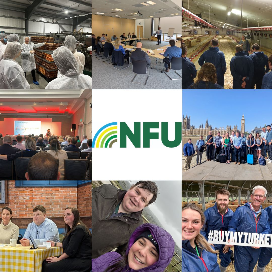 NFU Poultry (@nfu_poultry) on Twitter photo Today is the 10th #Farm24 which is a great opportunity to celebrate British farming and highlight the work farmers do every day π¬π§π the <a href="/NFU_Poultry/">NFU Poultry</a> team are proud to work with and on behalf of our brilliant poultry farming membersπ₯ππ¦ Today is the 10th #Farm24 which is a great opportunity to celebrate British farming and highlight the work farmers do every day π¬π§π the <a href="/NFU_Poultry/">NFU Poultry</a> team are proud to work with and on behalf of our brilliant poultry farming membersπ₯ππ¦