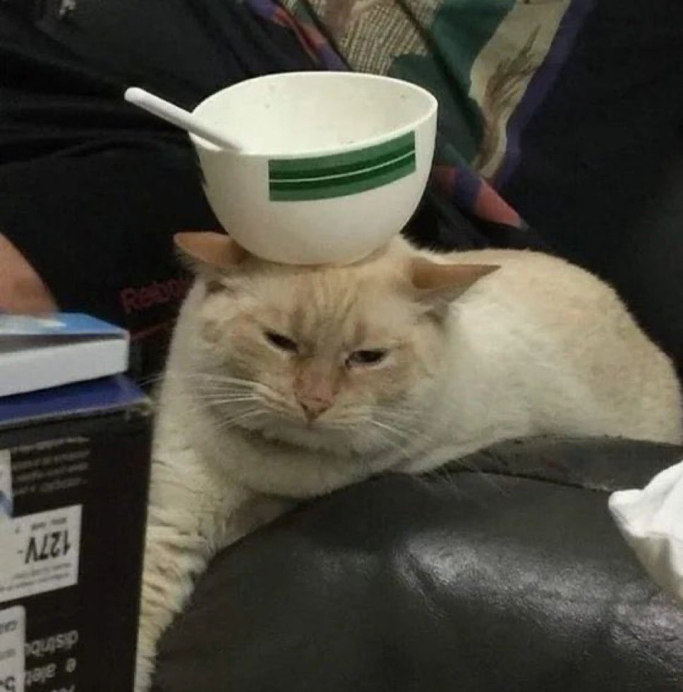 senin olmayan eczanede çalışmak nasıl mı hissettiriyor