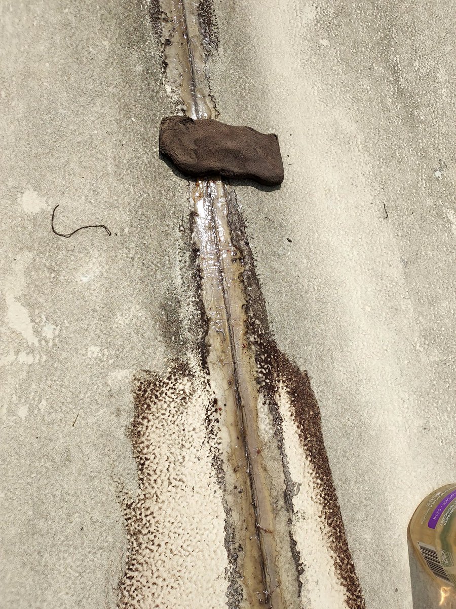 Thomas Barker tweet media