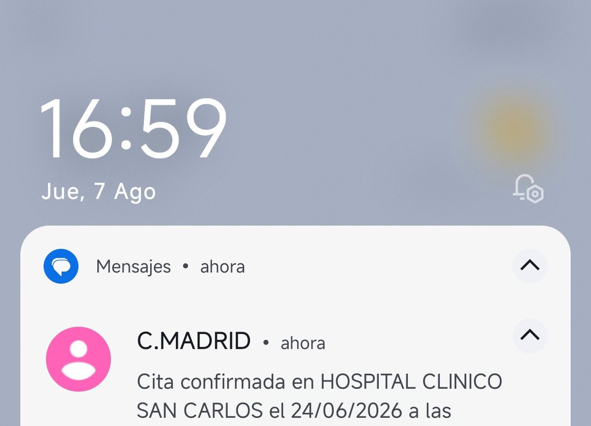 SandrAPA tweet media