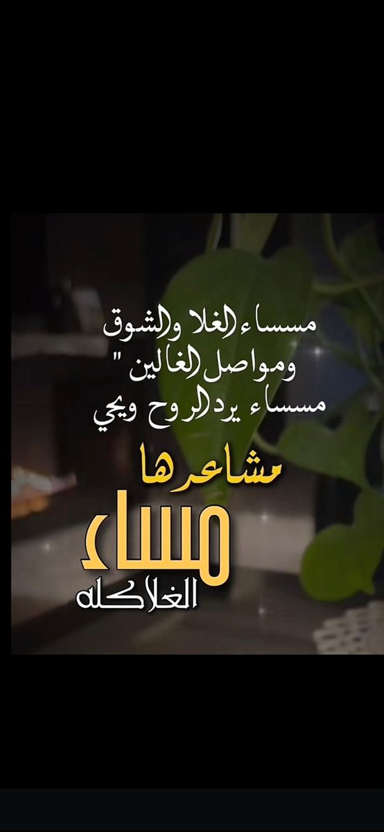 ❀•R•❀ (@8tf6_) on Twitter photo 