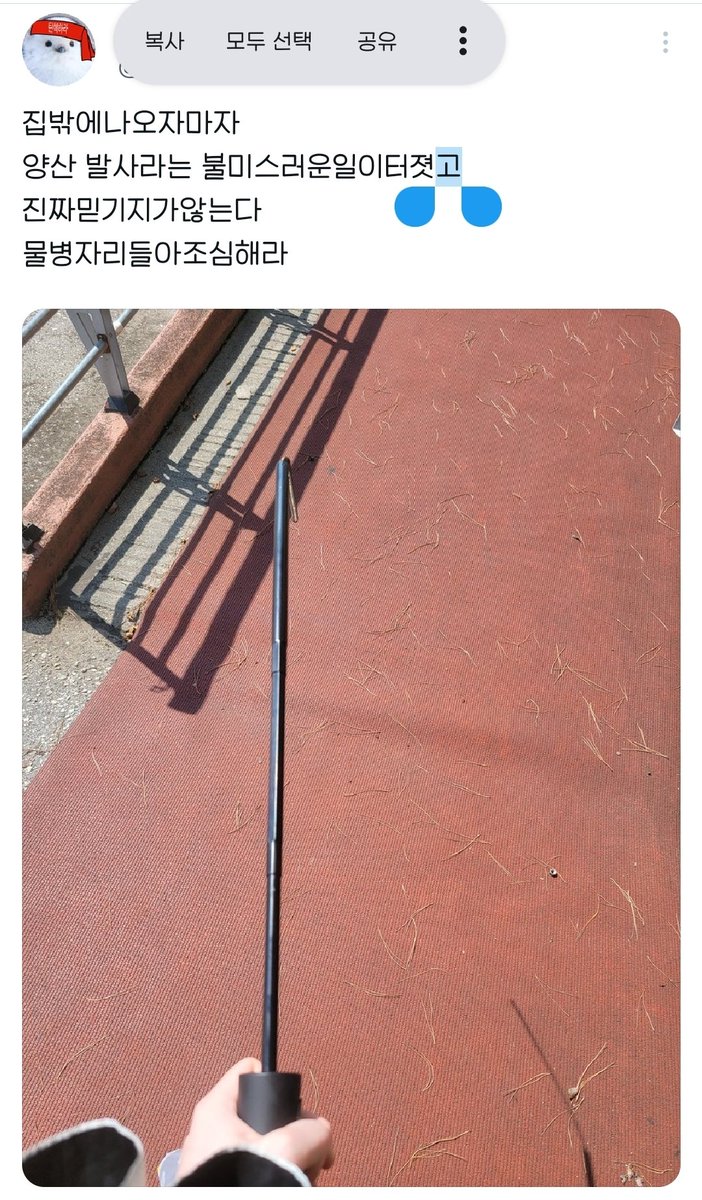 똘빡봇 (@adeli_award) on Twitter photo 