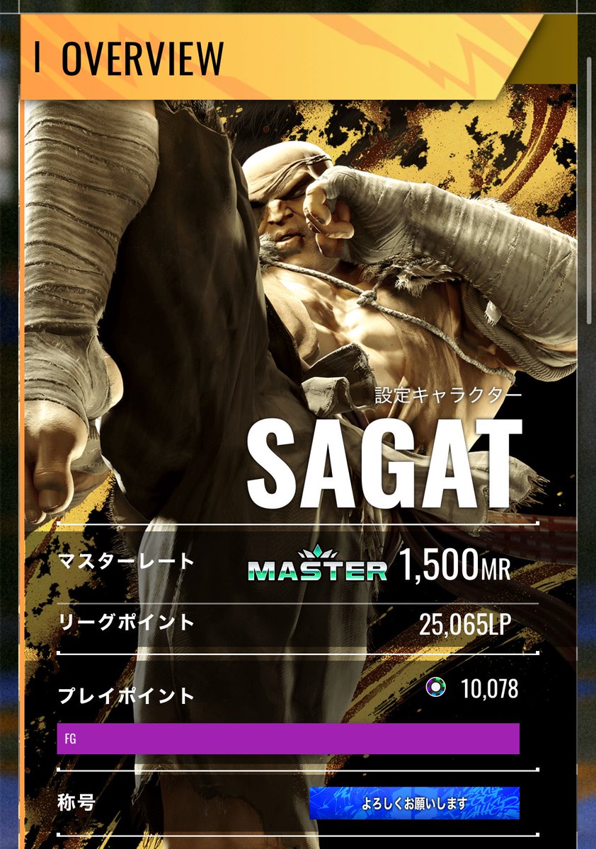 タイガー昇格からのタイガー大団円
ニーが強いおかげで弾撃ち苦手民の自分でもやれたけど、相手の後ろ下がりを咎めづらいのがつらかった