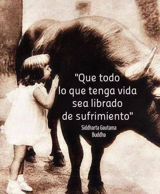 Nydia Cervera (@nydiacervera) on Twitter photo #FelizJueves <a href="/gllgina1/">Gina..🌷</a> <a href="/EYACAR65/">EYA</a> <a href="/nora_nap/">⭐NORA ARCINIEGA⭐</a> <a href="/mtz_tt/">B€TT¥ ツ</a> <a href="/duky1107/">Claudia</a> <a href="/PatyZavalat/">Paty Zavala</a> <a href="/LETICIA777/">LETICIA TORRES</a> <a href="/akyoshi09/">Fabiola</a> <a href="/CasLaaU/">Soy Lau. 💜🍉</a> <a href="/DaliaMRocha/">Yaya Rocha</a> <a href="/Froggieland/">Anny Reyes</a> <a href="/Janinah18/">Janina Hidalgo Ybarra</a> <a href="/raquelgarzac/">raquel garza</a> @JohannaLizalde <a href="/HuesitosDF/">Huesitos DF</a> <a href="/IsabelYsita/">#WeAreMadleen🛥️🕊️🇸🇩</a> <a href="/gretakolarik/">Greta Kolarik</a> <a href="/soymolid/">@soymoli</a> <a href="/AvilMac/">Marvel</a> <a href="/Marvinel3/">MaRViN *゜★゜*THE MARVINOUS★゜👽</a> <a href="/Negra_start/">Ⓝⓔⓖⓡⓐ</a> <a href="/zaradrj/">🐕Sara Del Razo J.</a> <a href="/alapez/">alejandra</a> <a href="/Nyu_umi/">JJ</a> #FelizJueves <a href="/gllgina1/">Gina..🌷</a> <a href="/EYACAR65/">EYA</a> <a href="/nora_nap/">⭐NORA ARCINIEGA⭐</a> <a href="/mtz_tt/">B€TT¥ ツ</a> <a href="/duky1107/">Claudia</a> <a href="/PatyZavalat/">Paty Zavala</a> <a href="/LETICIA777/">LETICIA TORRES</a> <a href="/akyoshi09/">Fabiola</a> <a href="/CasLaaU/">Soy Lau. 💜🍉</a> <a href="/DaliaMRocha/">Yaya Rocha</a> <a href="/Froggieland/">Anny Reyes</a> <a href="/Janinah18/">Janina Hidalgo Ybarra</a> <a href="/raquelgarzac/">raquel garza</a> @JohannaLizalde <a href="/HuesitosDF/">Huesitos DF</a> <a href="/IsabelYsita/">#WeAreMadleen🛥️🕊️🇸🇩</a> <a href="/gretakolarik/">Greta Kolarik</a> <a href="/soymolid/">@soymoli</a> <a href="/AvilMac/">Marvel</a> <a href="/Marvinel3/">MaRViN *゜★゜*THE MARVINOUS★゜👽</a> <a href="/Negra_start/">Ⓝⓔⓖⓡⓐ</a> <a href="/zaradrj/">🐕Sara Del Razo J.</a> <a href="/alapez/">alejandra</a> <a href="/Nyu_umi/">JJ</a>