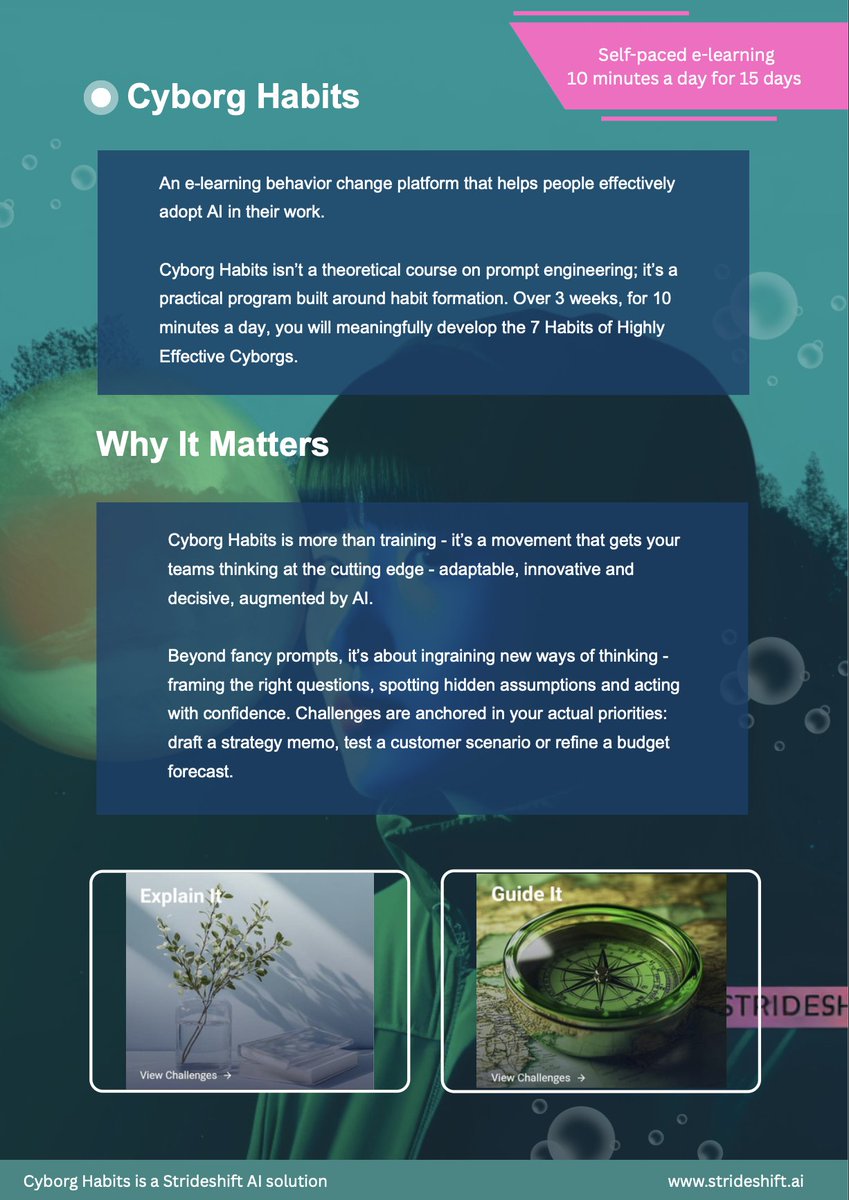 hq@strideshift.ai tweet media