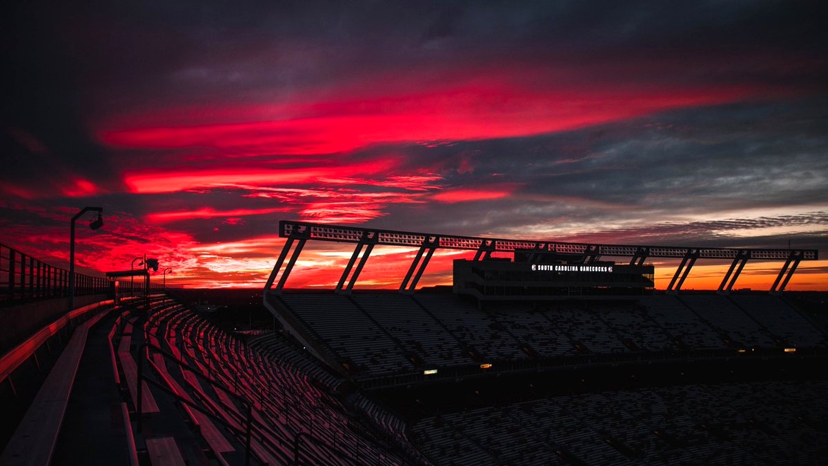 Chavis McDonald tweet media