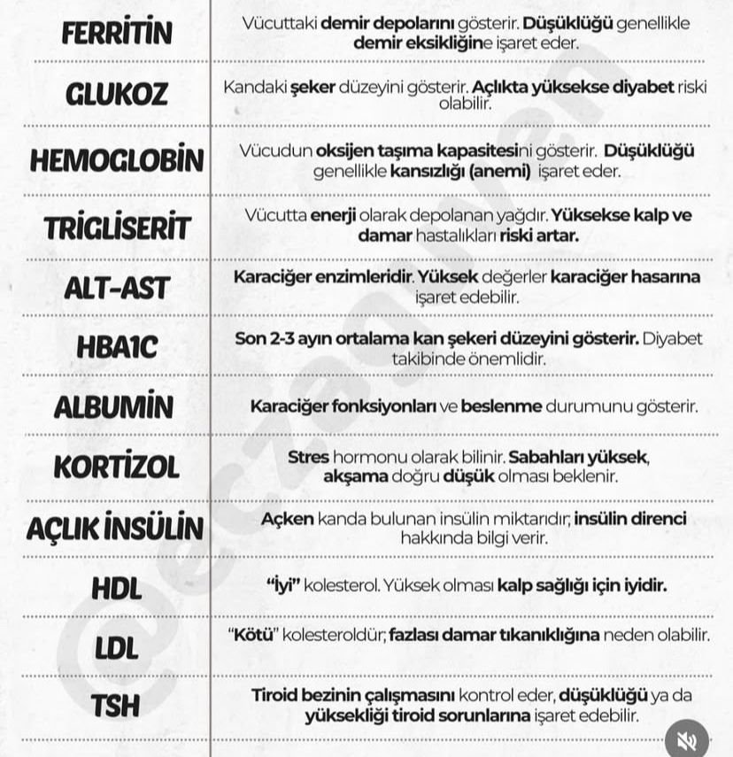 Hastalikogrenn's tweet photo. Kan Değerleri Ne Anlama Gelir? https://t.co/Kivj0alZy1