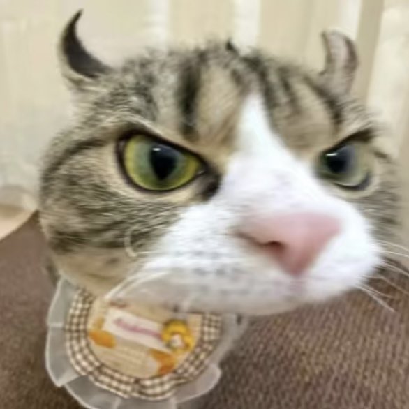 tocuee's tweet image. 不知道什么时候开始养成了这个习惯：
如果一个地址被我verified出来是属于谁的地址，那么就在推上关注他

到现在就变成，经常刷推刷着，时间线里跑出来一个账户，要想半天：你谁啊😑