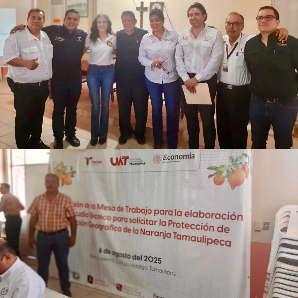IMPI_Mexico's tweet photo. El #IMPI presente en #Tamaulipas, en la instalación de la Mesa de Trabajo de la #IndicaciónGeográfica de la #NaranjaTamaulipeca.
Orgullo del Norte, sabor con raíz y futuro protegido. ¡Vamos por su reconocimiento oficial! 🇲🇽

#NaranjaTamaulipeca 🍊 #MéxicoHerenciaYOrigen https://t.co/xEmelo70Xx