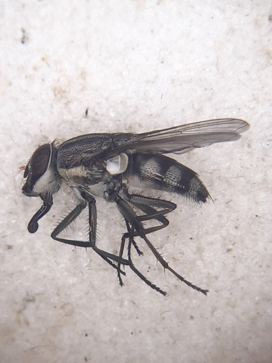 David Basham tweet media