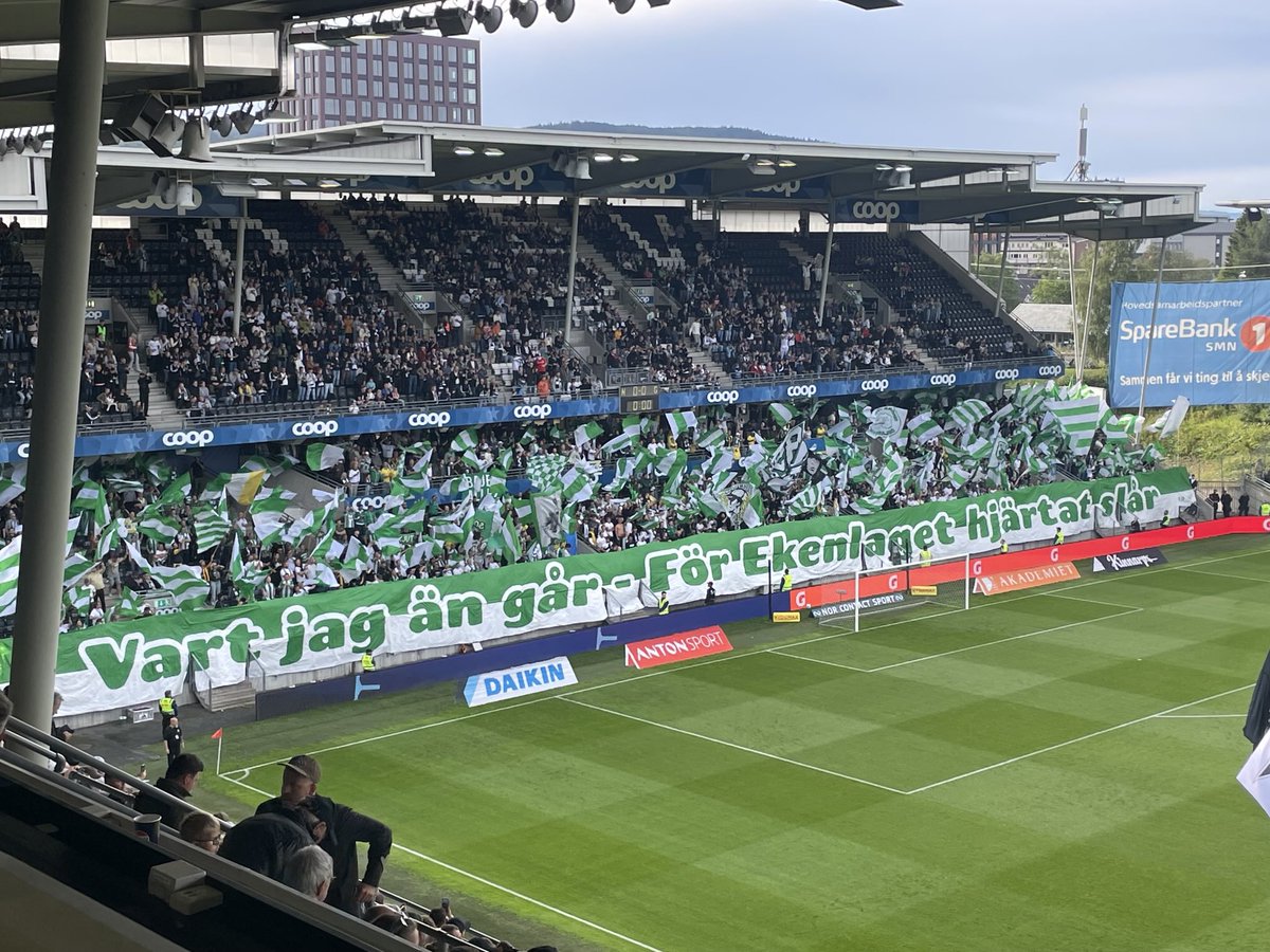 Brukbart på Lerkendal, er jo det.