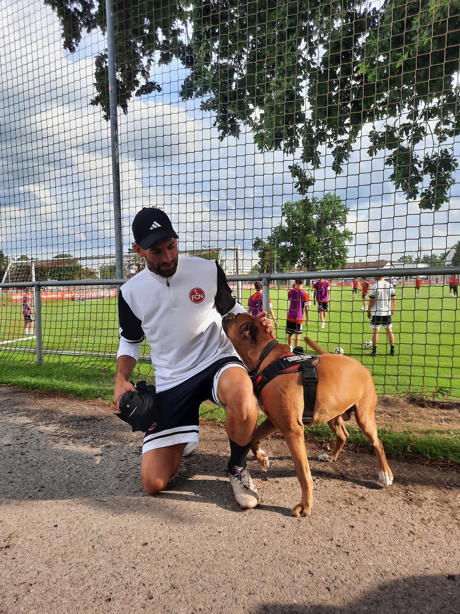 ... wir müssen mal reden.

du über fußball. 
ich über alle bälle überhaupt....

⚽️🐶⚽️🐶⚽️🐶⚽️🐶⚽️

#maxiwillspielen #ballsicher #fcn #unserclub #maxiweißbescheid
