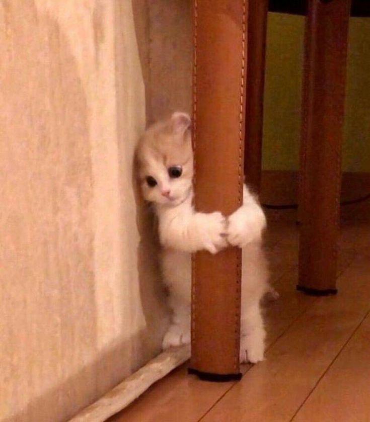 We Miss You
But Tumhe To Koi Fark Hi Nahi Padta Na..(crying emoji)
WE MISS YOU PEARL
#PearlVPuri