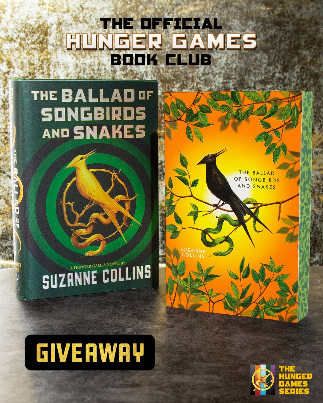 What is Ballad of the Songbirds And Snakes About 