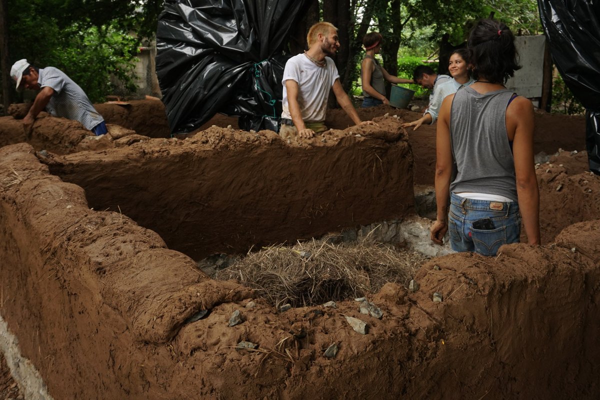 ProgramaVACA tweet media