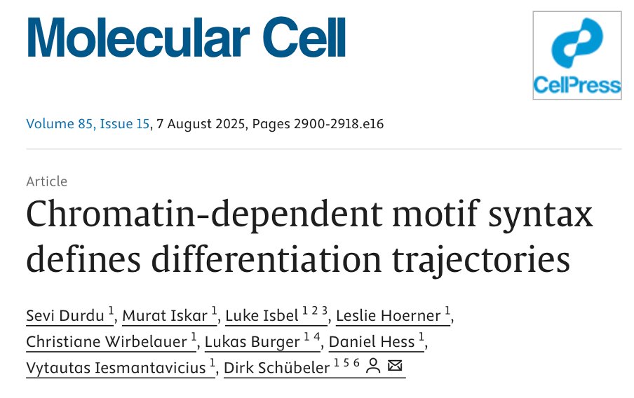 Schübeler Lab (@schubelerlab) on Twitter photo Excited to see this published with additional data following our preprint a while back. Cool combination (in our biased view) of controlled TF expression and machine learning to decode chromatin sensitivity.  sciencedirect.com/science/articl…. Excited to see this published with additional data following our preprint a while back. Cool combination (in our biased view) of controlled TF expression and machine learning to decode chromatin sensitivity.  sciencedirect.com/science/articl….