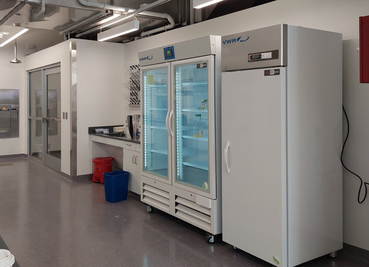 Dr. Beth Montelone tweet media