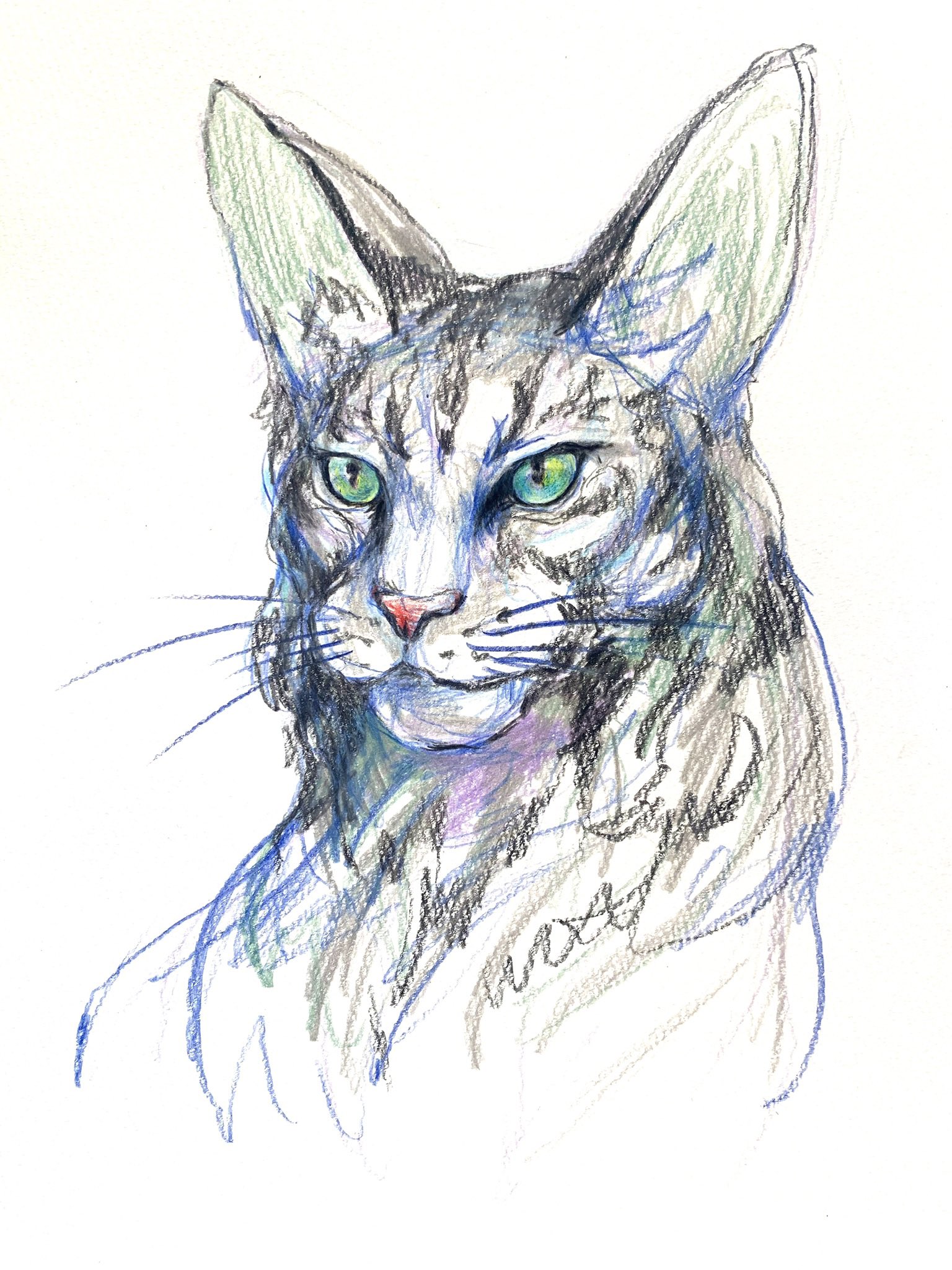 tw様予約 絵画「猫の背中に何かある〜メキシコと死者の日の猫⭐︎猫と世界旅行」 tw様予約 絵画「猫の背中に何かある〜メキシコと死者の日の猫