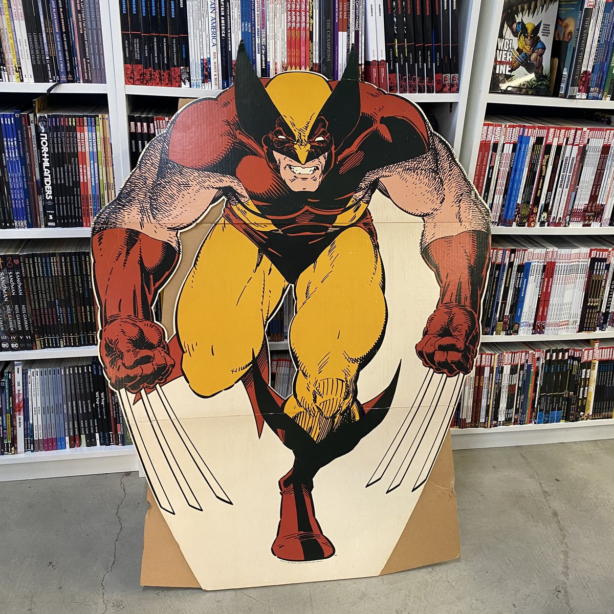 NowOrNeverComic's tweet image. Put this Wolvie out for sale right before Comic-Con and forgot to tell you! A 1986 Wolverine in store standee, still with the original mailer box. Purchased from a former comic shop employee that had held on to it for almost 40 years.