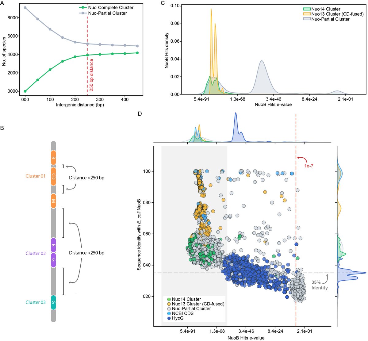 Amitesh Anand (@amitesh1anand) on Twitter photo Determined <a href="/akshayonly_/">Akshay Shirsath</a> mined the entire prokaryotic world using hidden Markov models, and the results r stunning.
We reveal how a powerful molecular machine driving energy metabolism assembles & how it is shared via plasmids. #Genomics #MolecularBiology
academic.oup.com/gbe/advance-ar… Determined <a href="/akshayonly_/">Akshay Shirsath</a> mined the entire prokaryotic world using hidden Markov models, and the results r stunning.
We reveal how a powerful molecular machine driving energy metabolism assembles & how it is shared via plasmids. #Genomics #MolecularBiology
academic.oup.com/gbe/advance-ar…